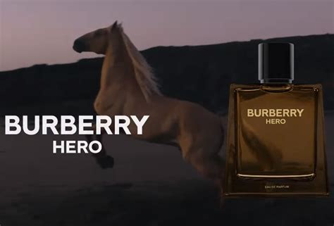 burberry hero song